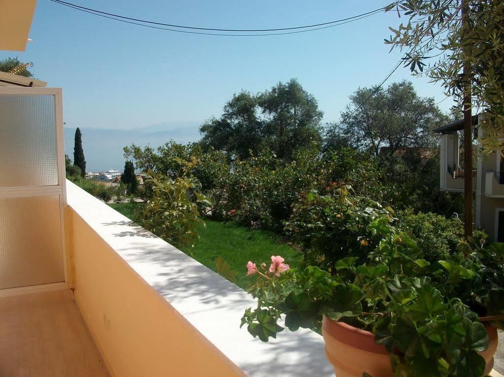 Roza's And Apartament *
